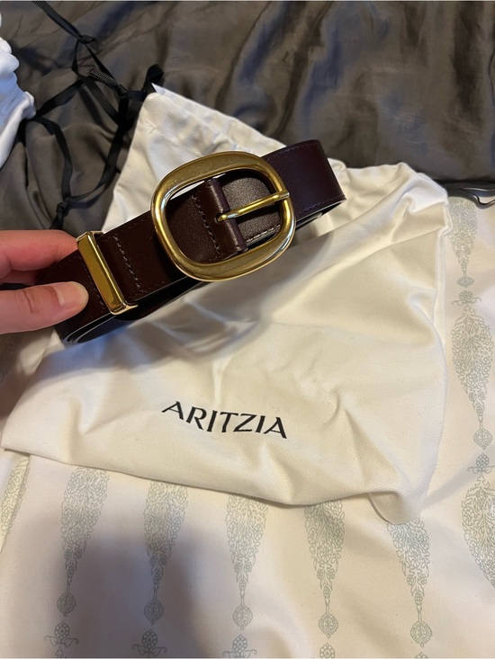 Aritzia Accessories - aritzia solid brass leather wide belt